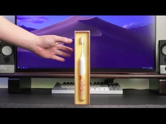 La brosse à dents électrique IPX7 de soin oral rechargeable imperméabilisent pendant des années de l'adolescence d'adultes